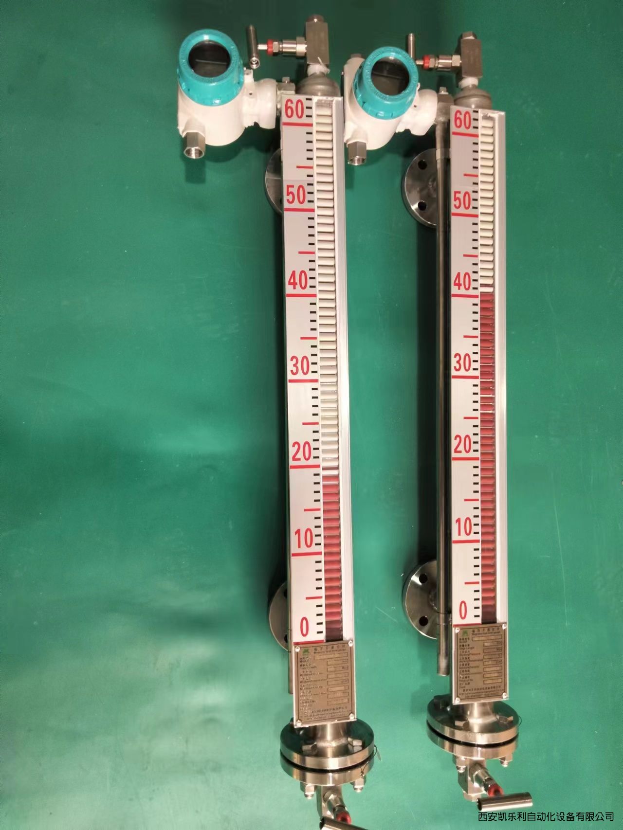 磁翻板遠(yuǎn)傳磁致伸縮變送器